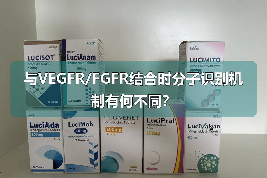 与VEGFR/FGFR结合时分子识别机制有何不同？